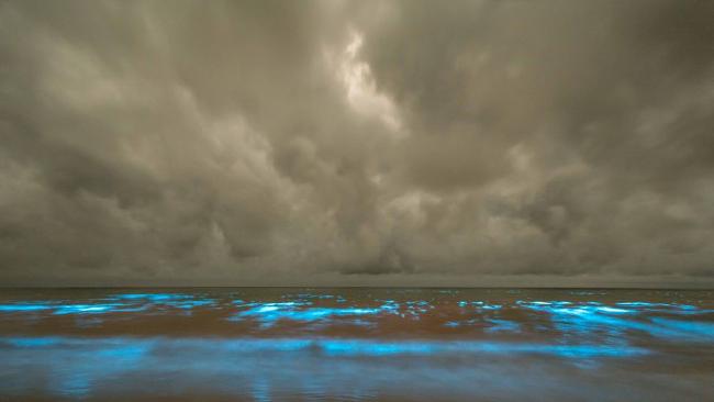 Hipnotizante – Algas fazem o mar brilhar na Austrália
