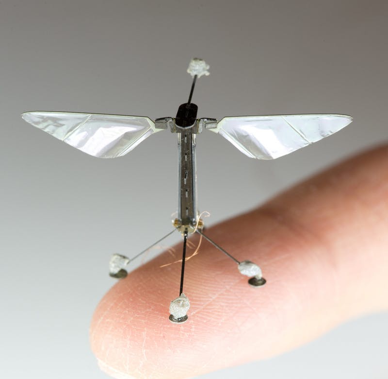 Universidade de Harvard cria insetos robóticos para controlar o ambiente.