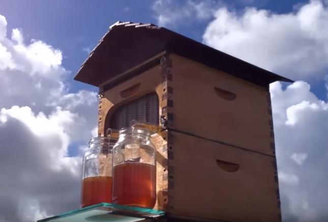 Conheça Flow Hive – Um sonho para o apicultor
